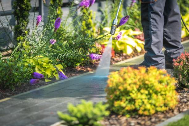 Professional Pressure Washing Services in Elmhurst, IL